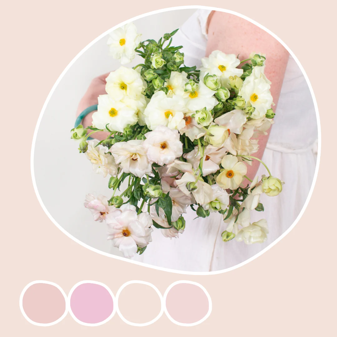 White and Blush Butterfly Ranunculus Mixed Box
