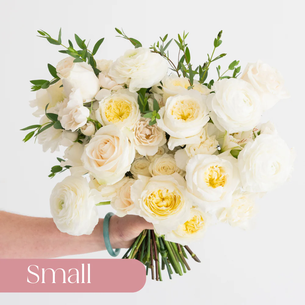 Cream and Sage Premade Plus - Small Package