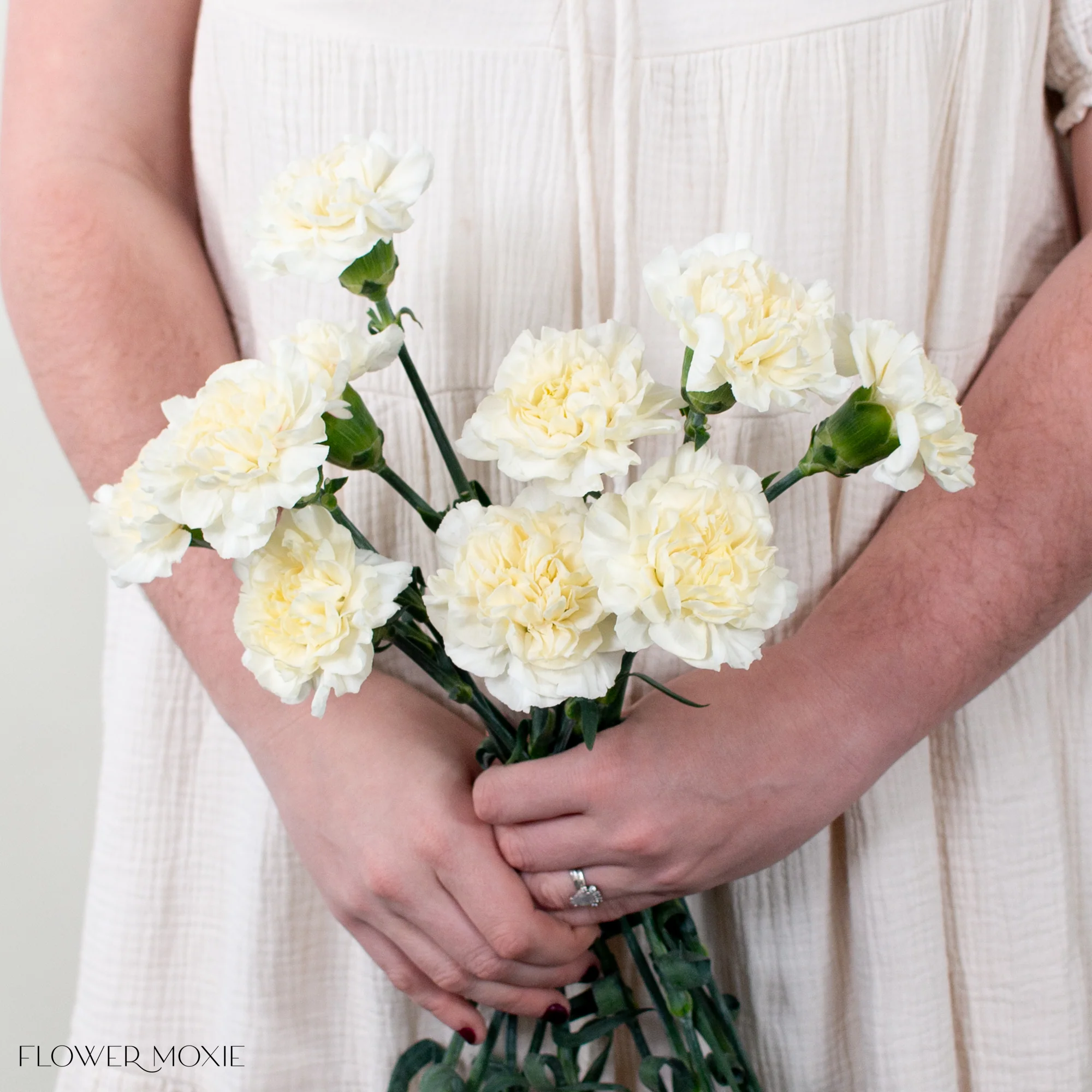 Cream Carnation Flower - Image 3