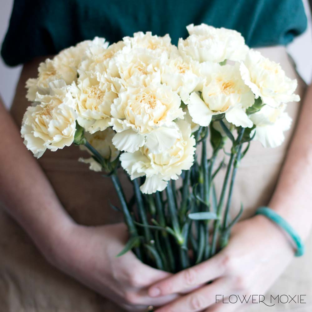 Cream Carnation Flower - Image 6