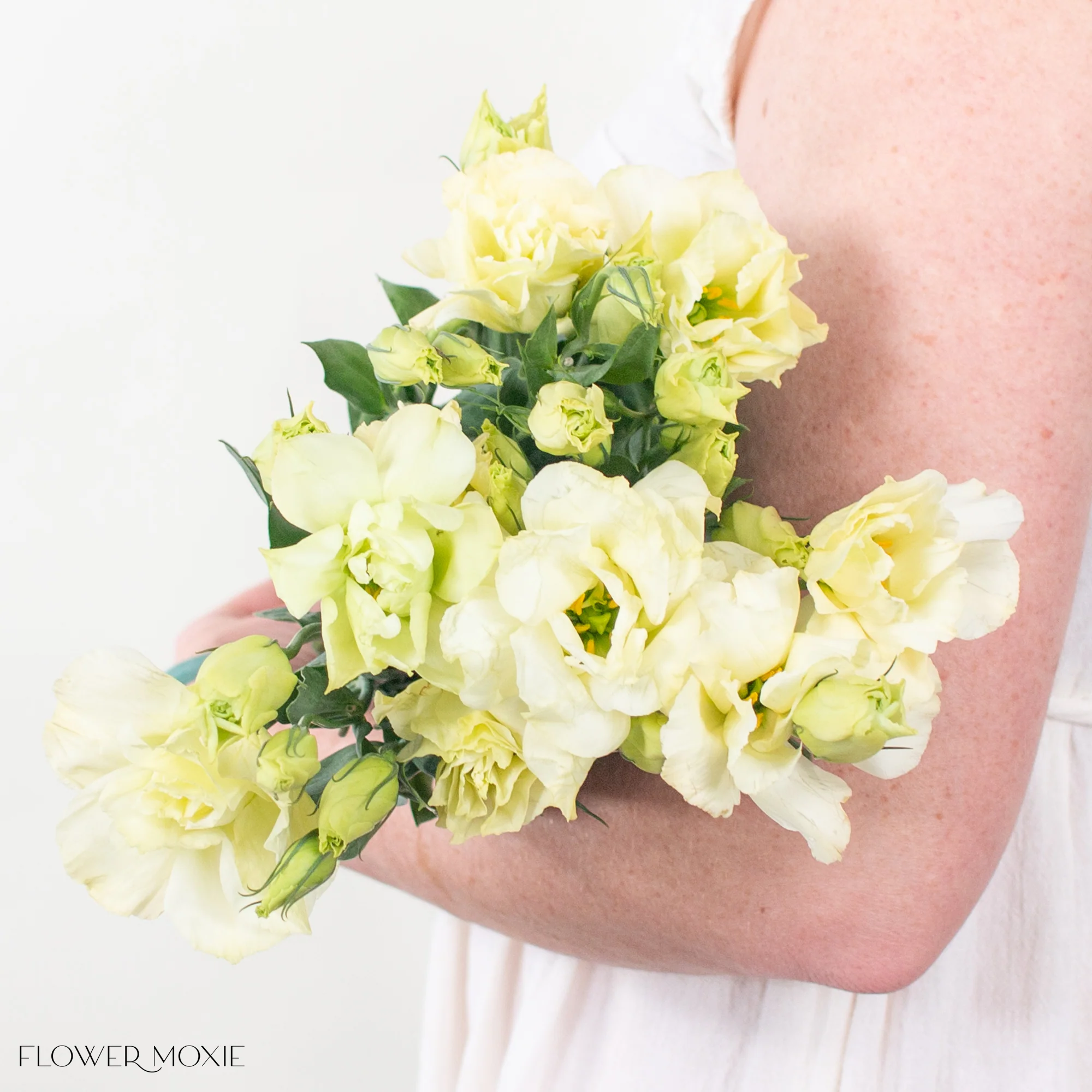Cream Lisianthus Flower