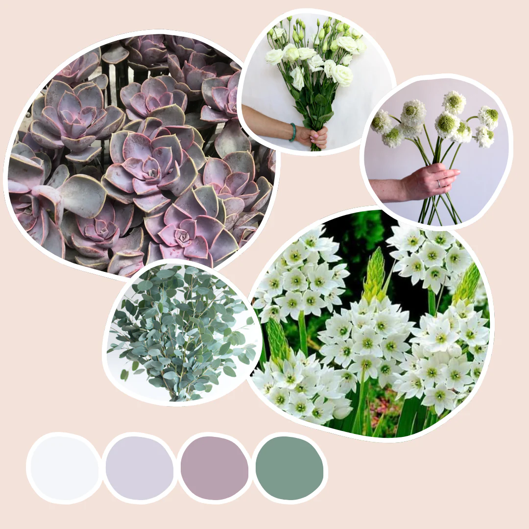Cream Mixed Box – Modern Botanicals