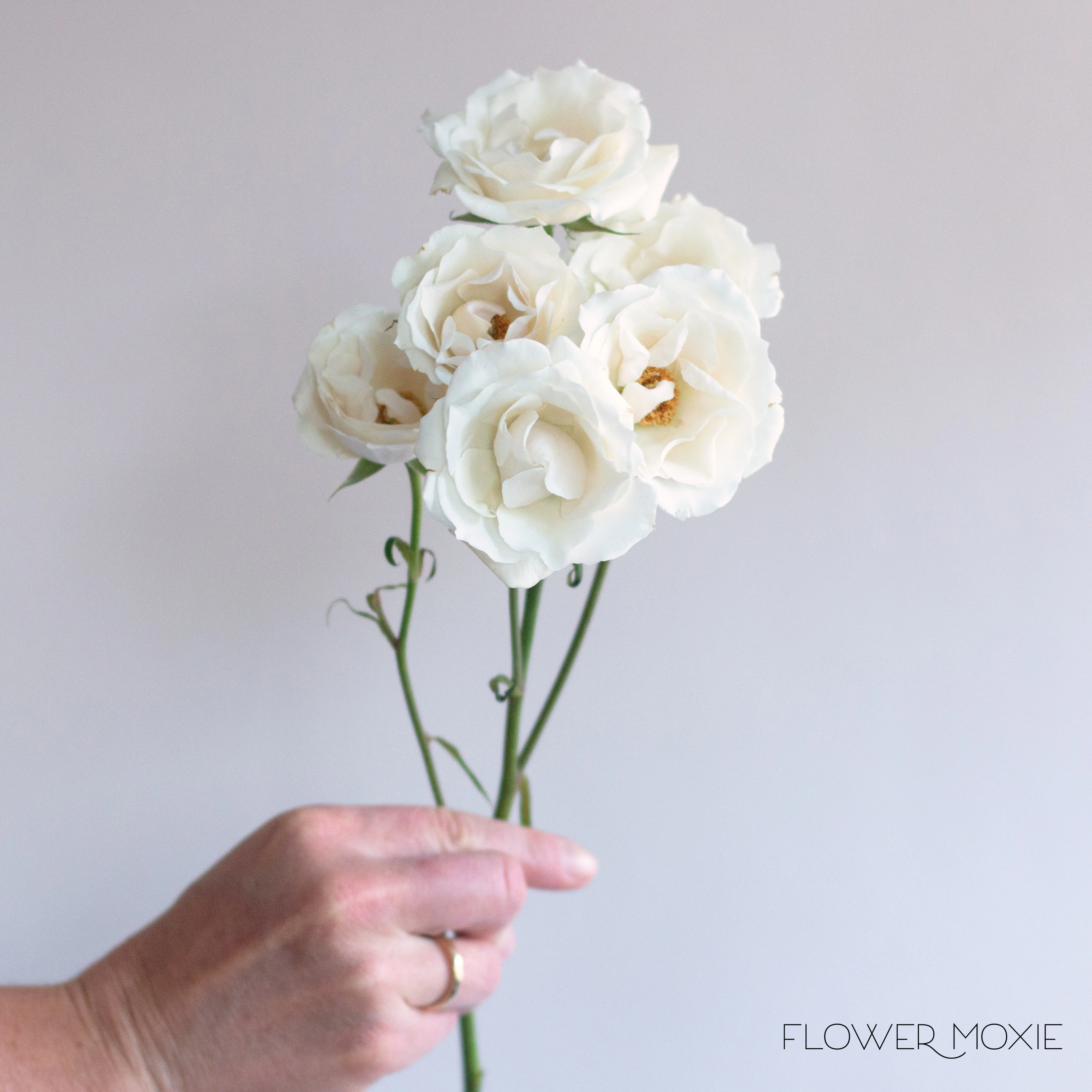 Cream Spray Roses - Image 3