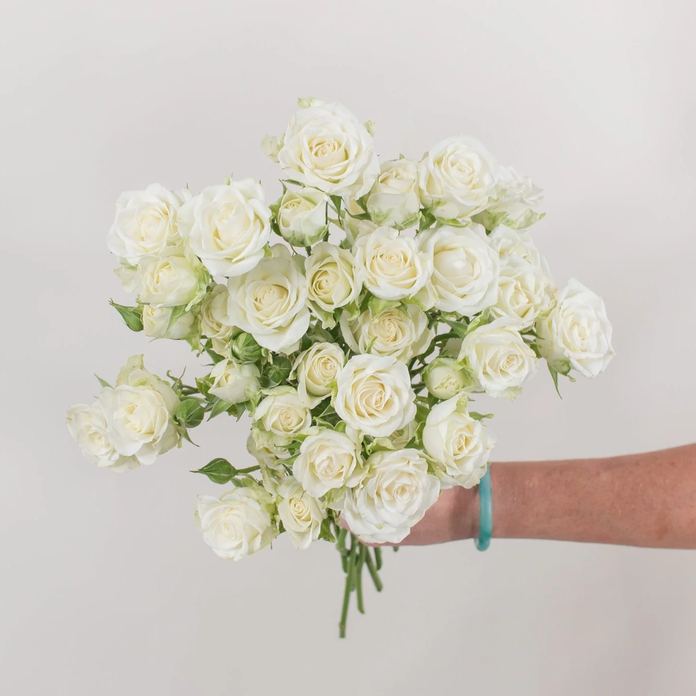 Cream Spray Roses - Image 6