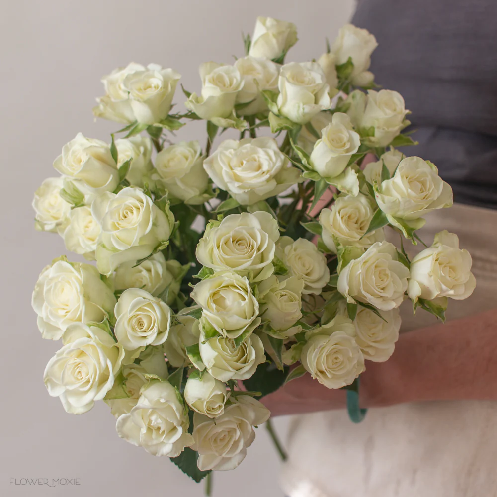 Cream Spray Roses - Image 8