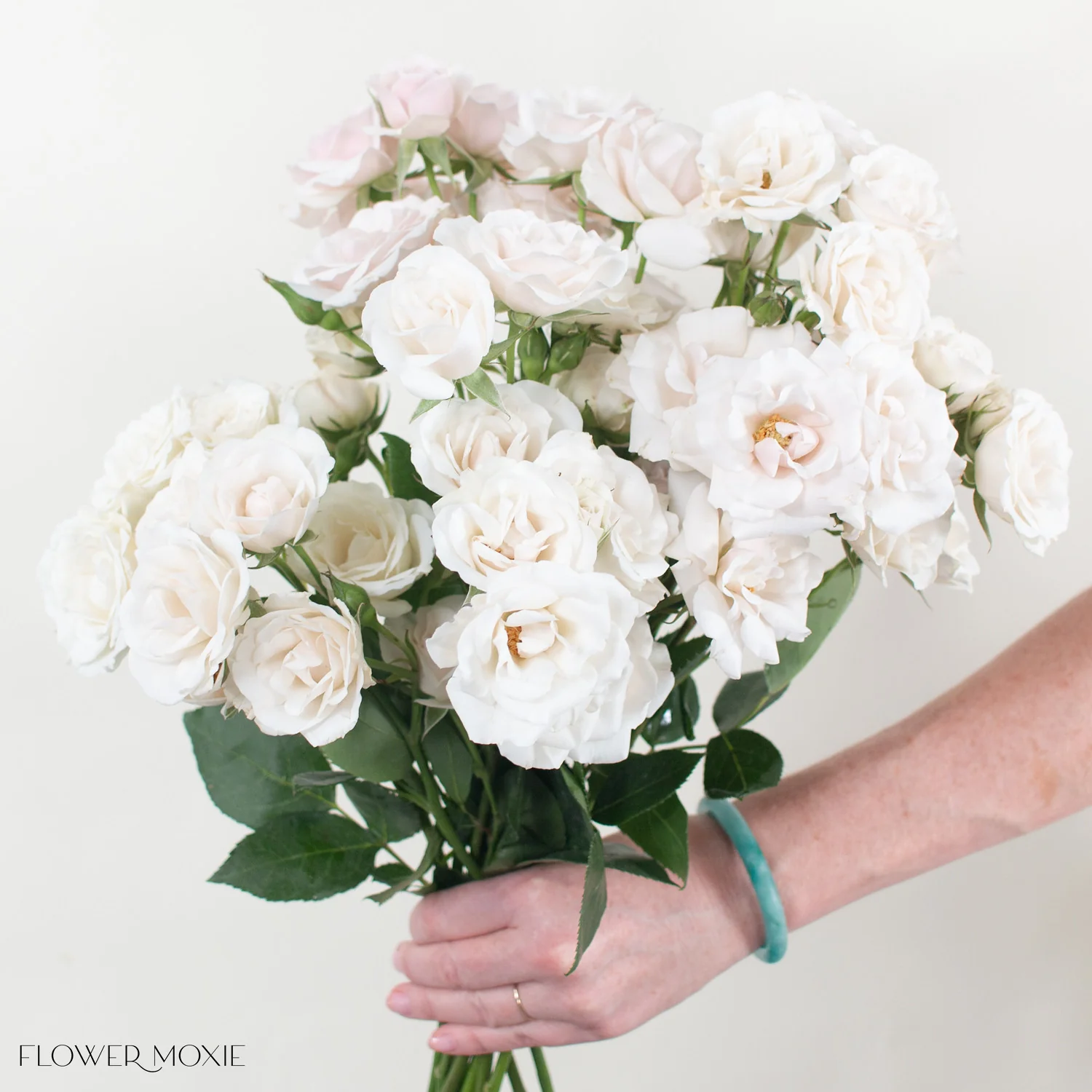 Creamy Blush Majolika Spray Roses - Image 3