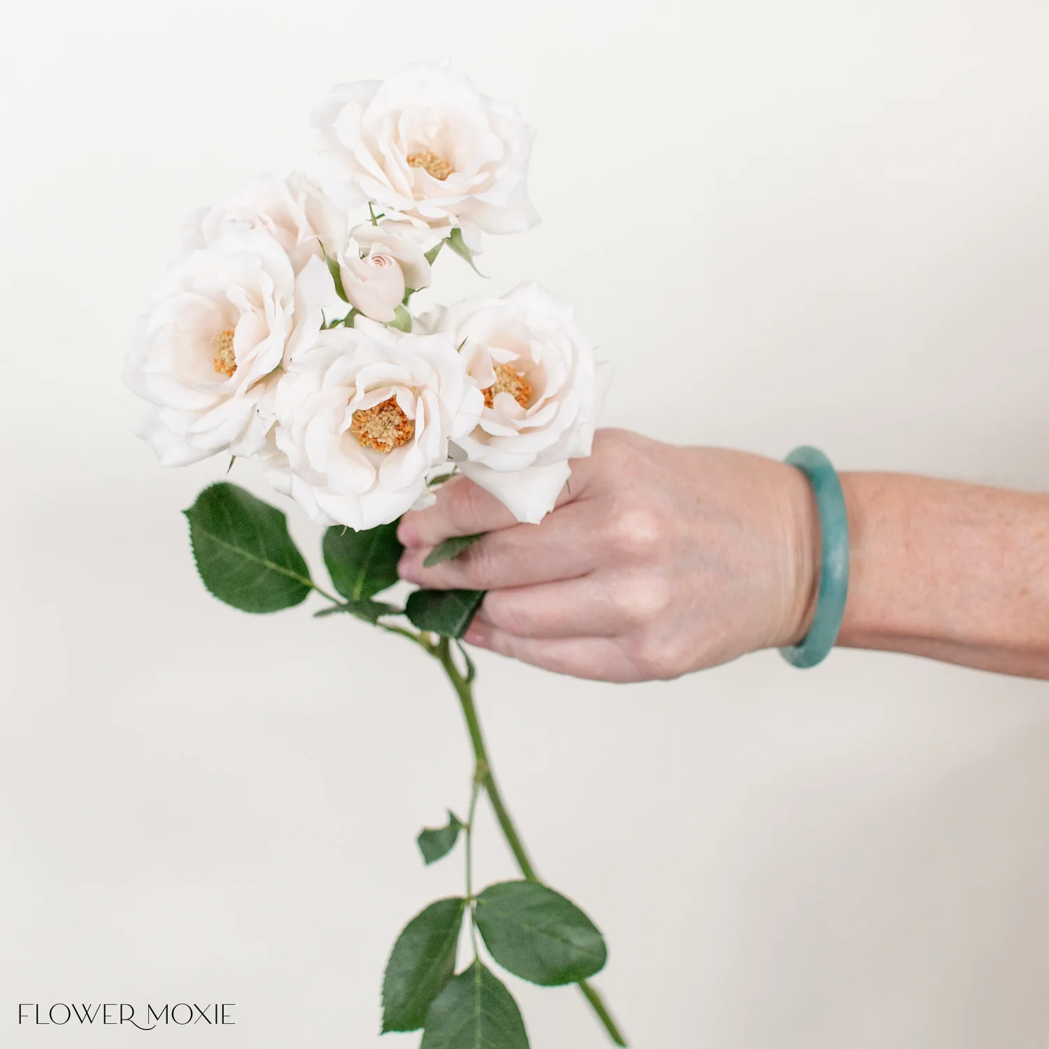 Creamy Blush Majolika Spray Roses - Image 5