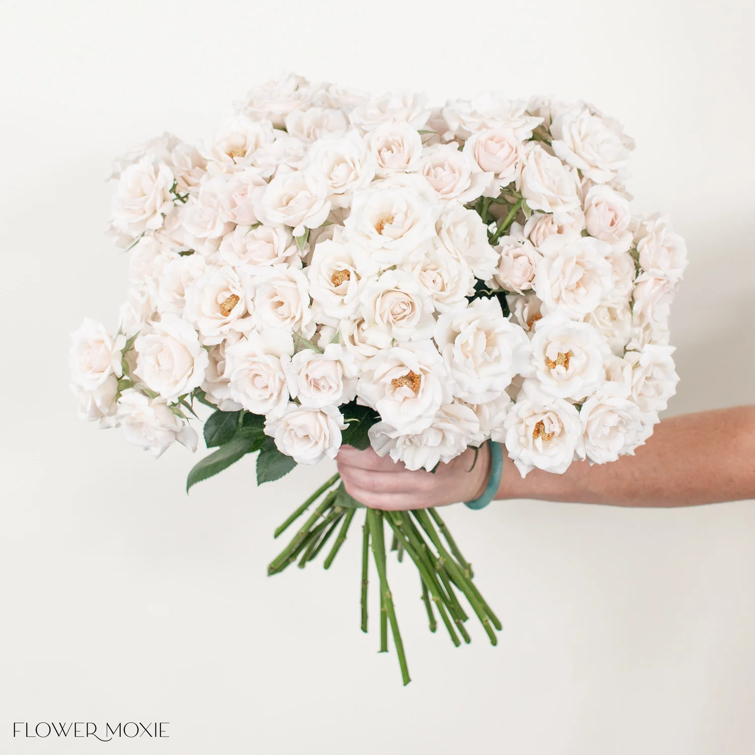 Creamy Blush Majolika Spray Roses - Image 6