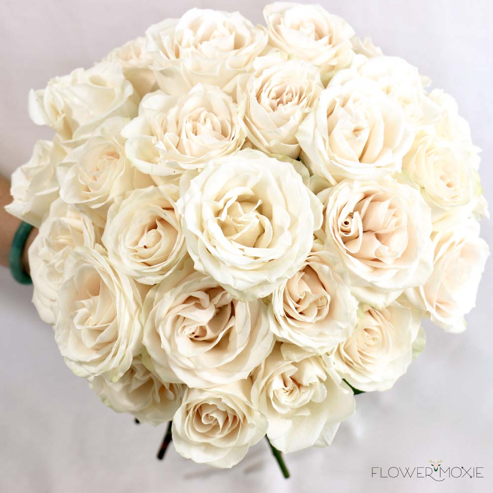 Creamy White Vendela Rose - Image 2