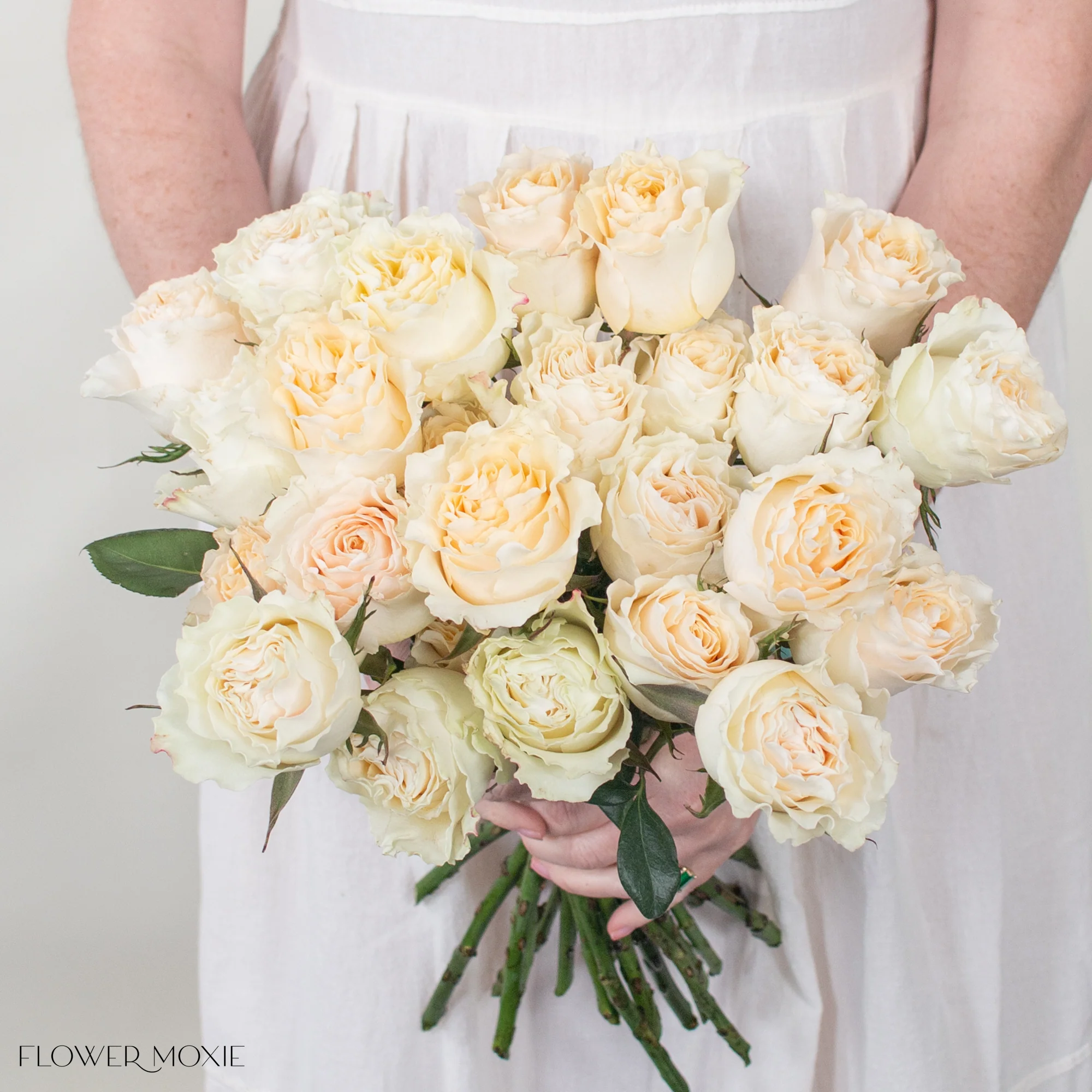 Creamy Yellow Carpe Diem Rose