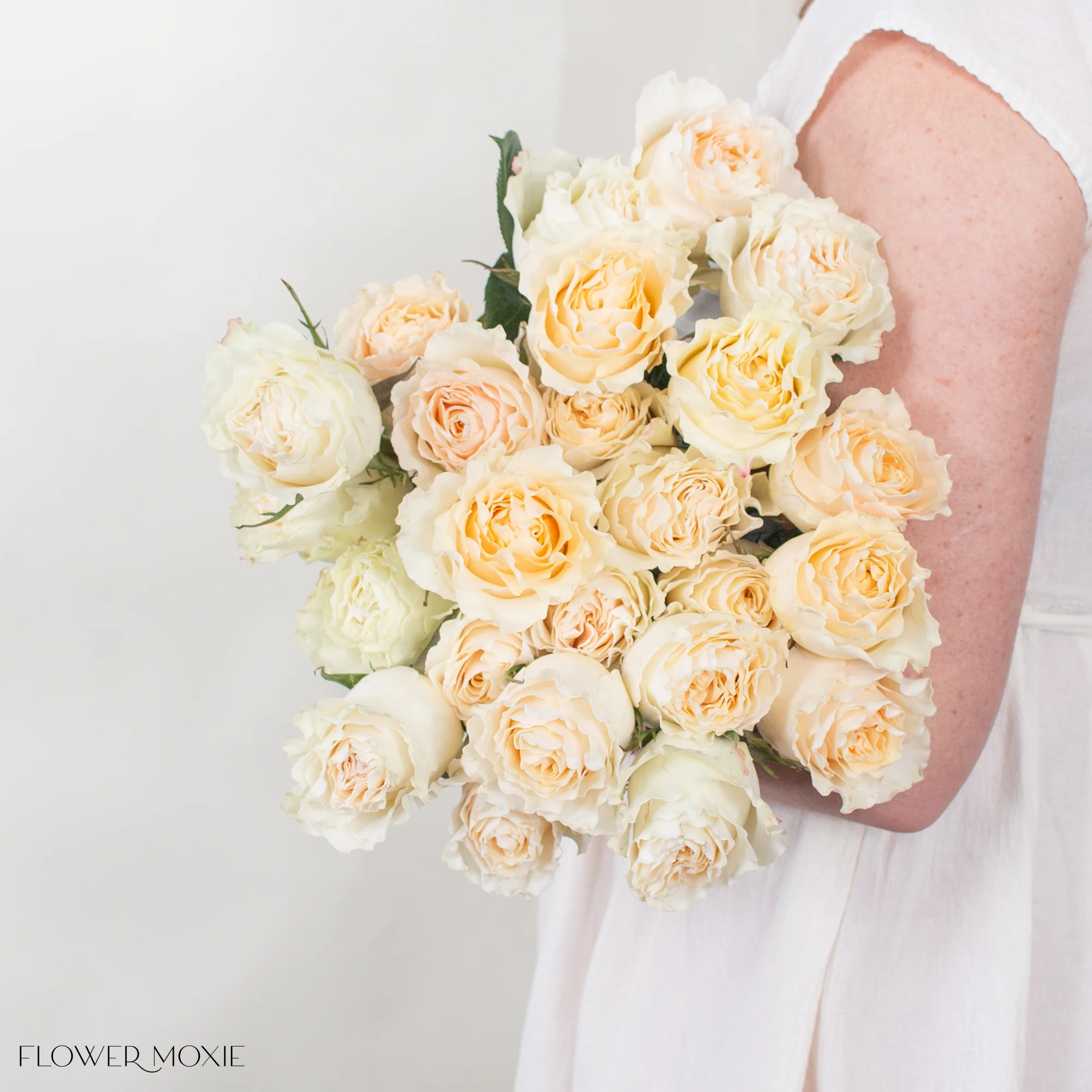 Creamy Yellow Carpe Diem Rose - Image 2