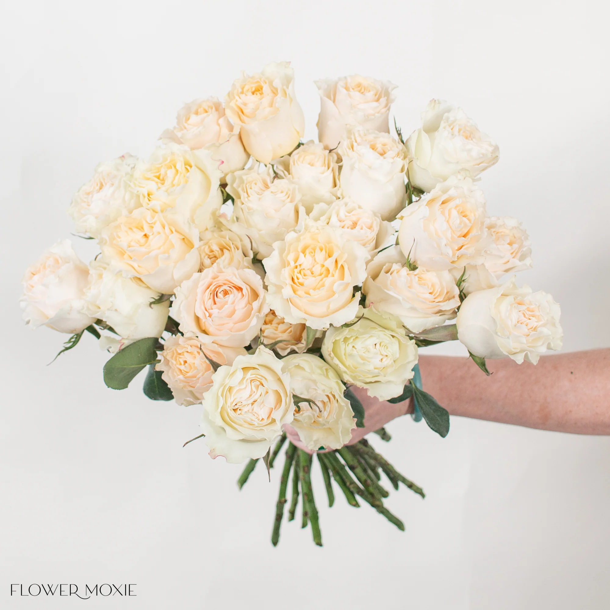 Creamy Yellow Carpe Diem Rose - Image 3