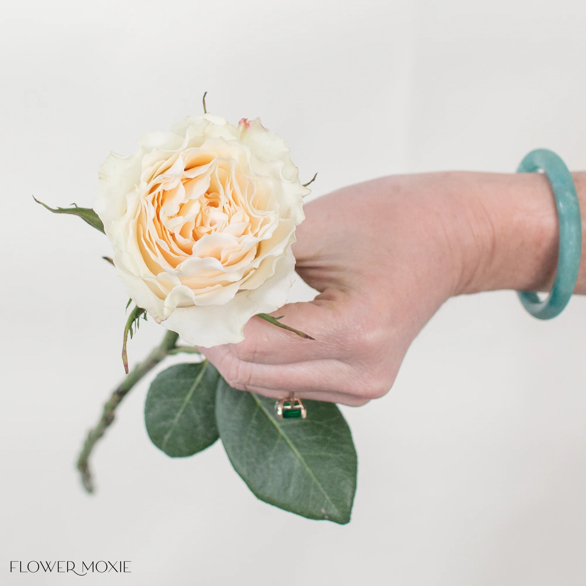 Creamy Yellow Carpe Diem Rose - Image 4