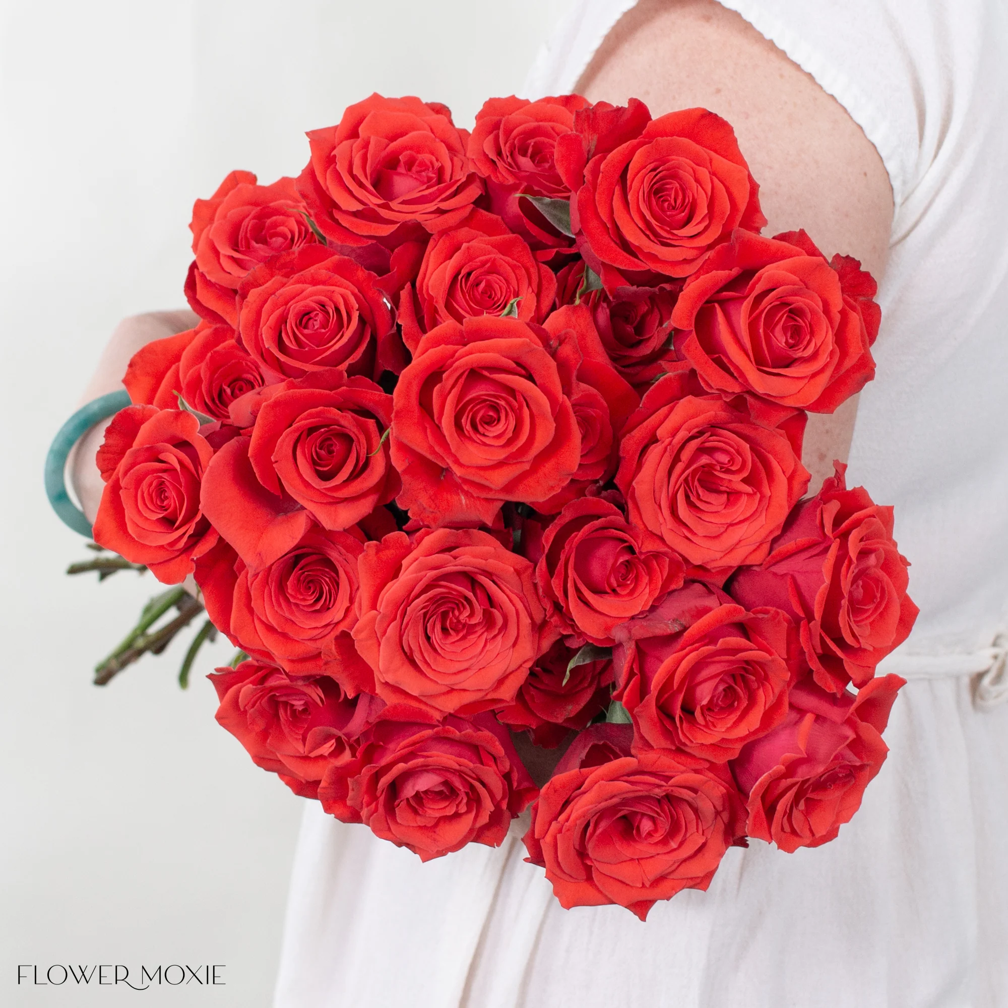 Dark Orange Nina Rose