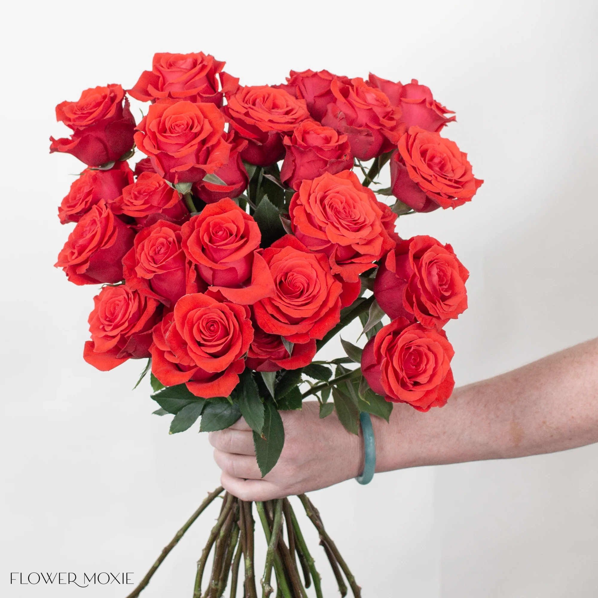 Dark Orange Nina Rose - Image 3