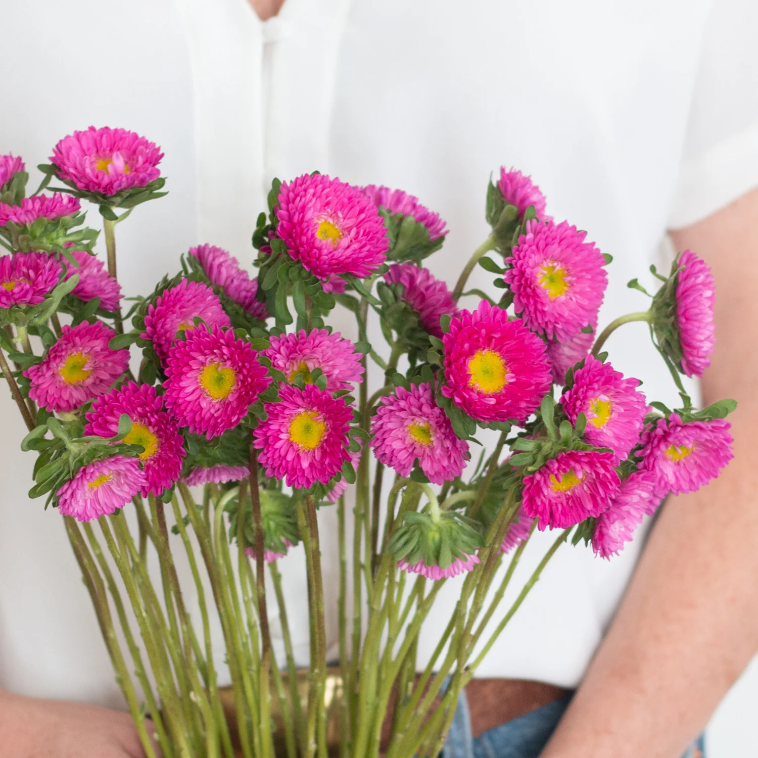 Dark Pink Matsumoto Aster Flowers - Image 2