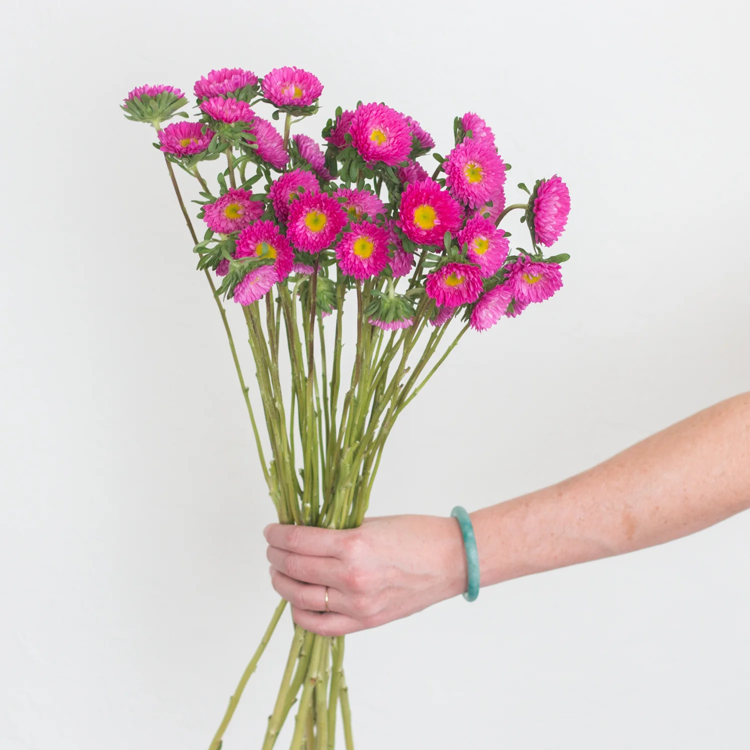 Dark Pink Matsumoto Aster Flowers - Image 3