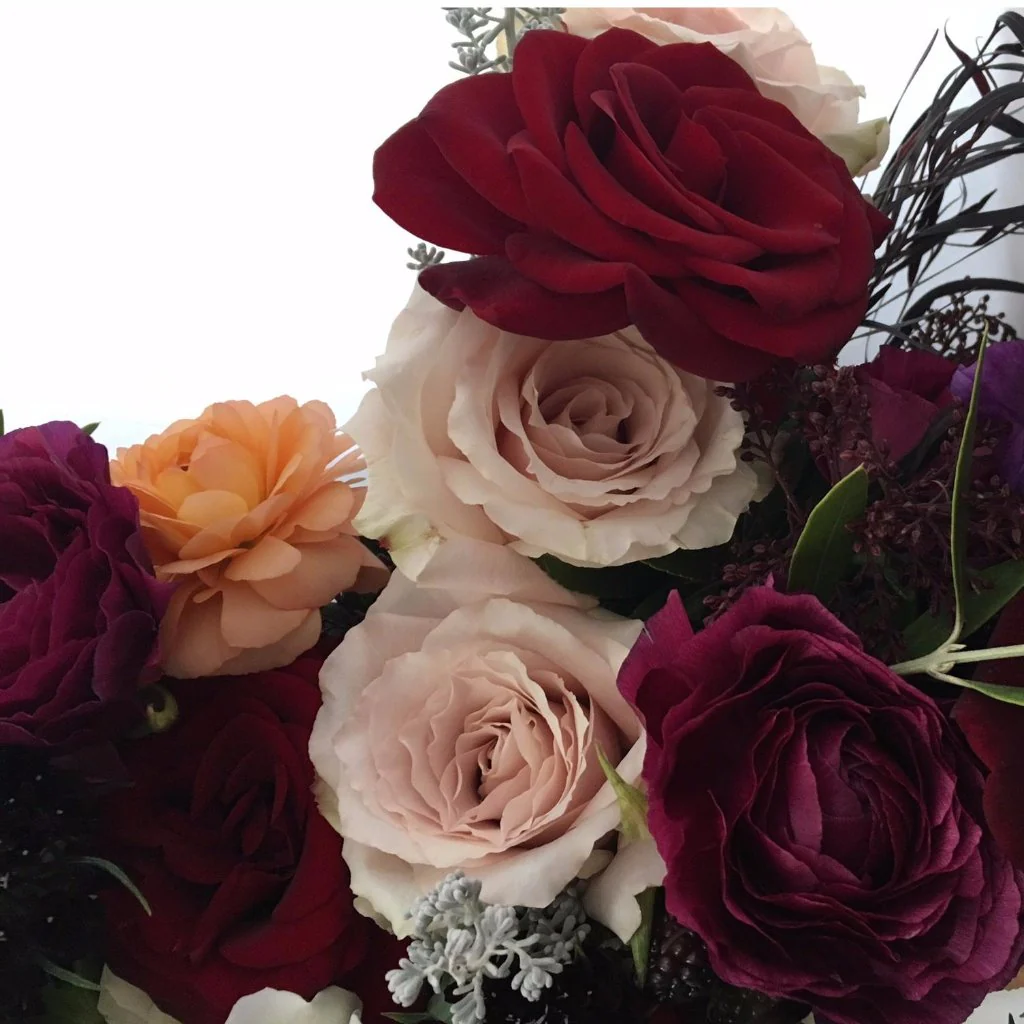 Dark Red Black Pearl Rose - Image 4