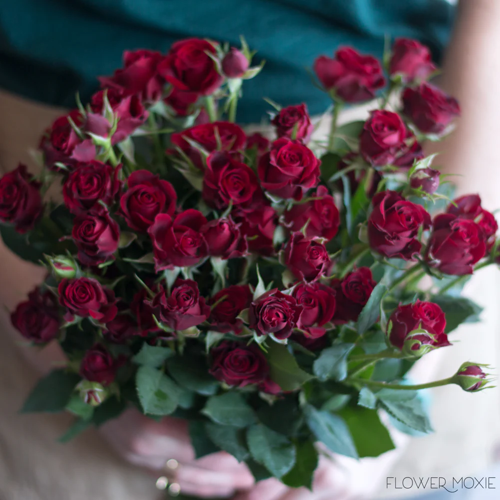 Dark Red Rubicon Spray Roses - Image 3