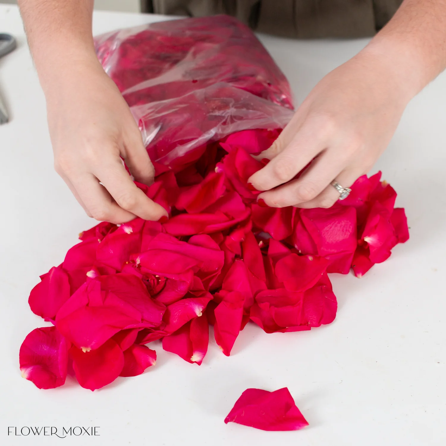 Deep Pink Rose Petals - Image 2