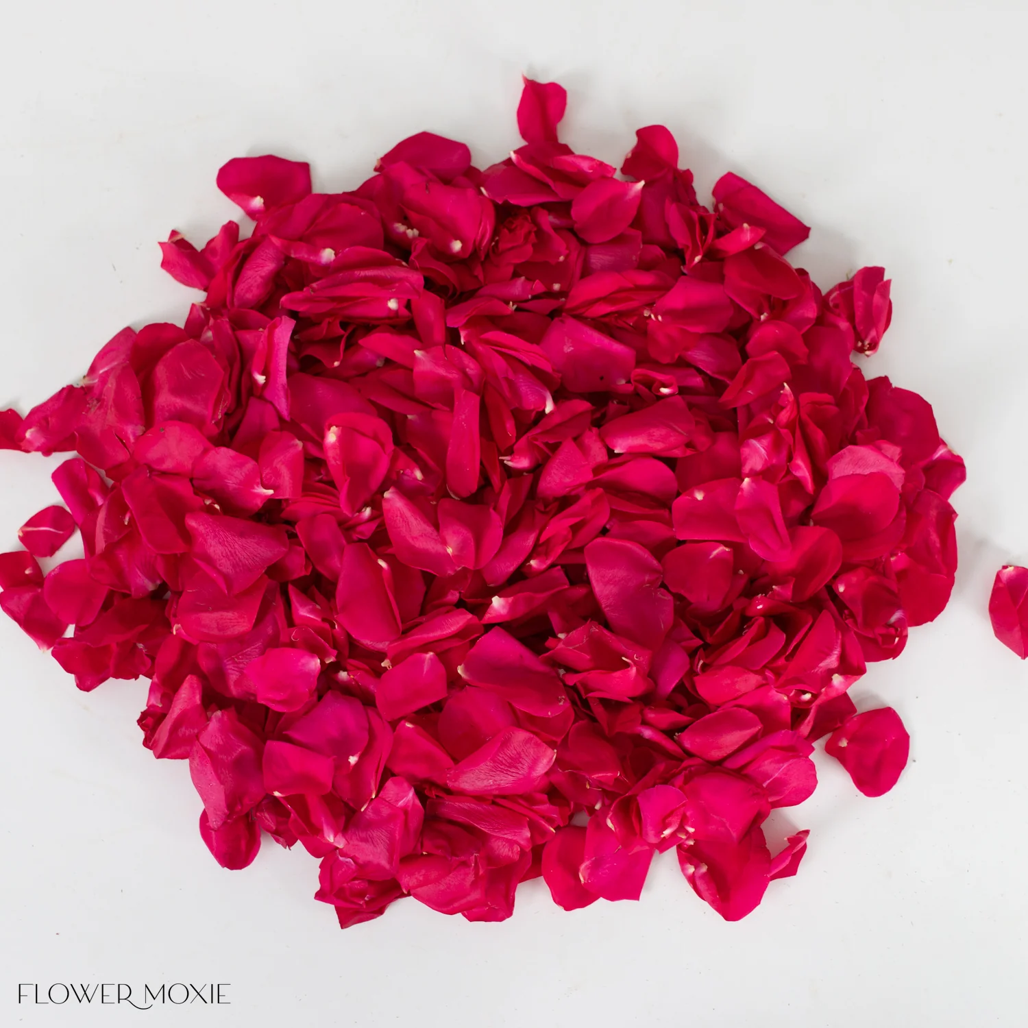 Deep Pink Rose Petals - Image 3