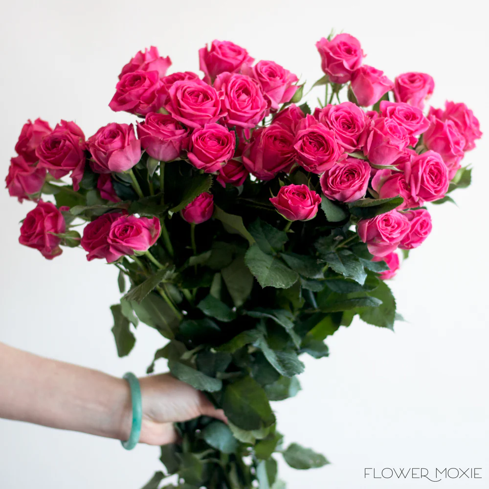 Deep Pink Spray Roses - Image 3