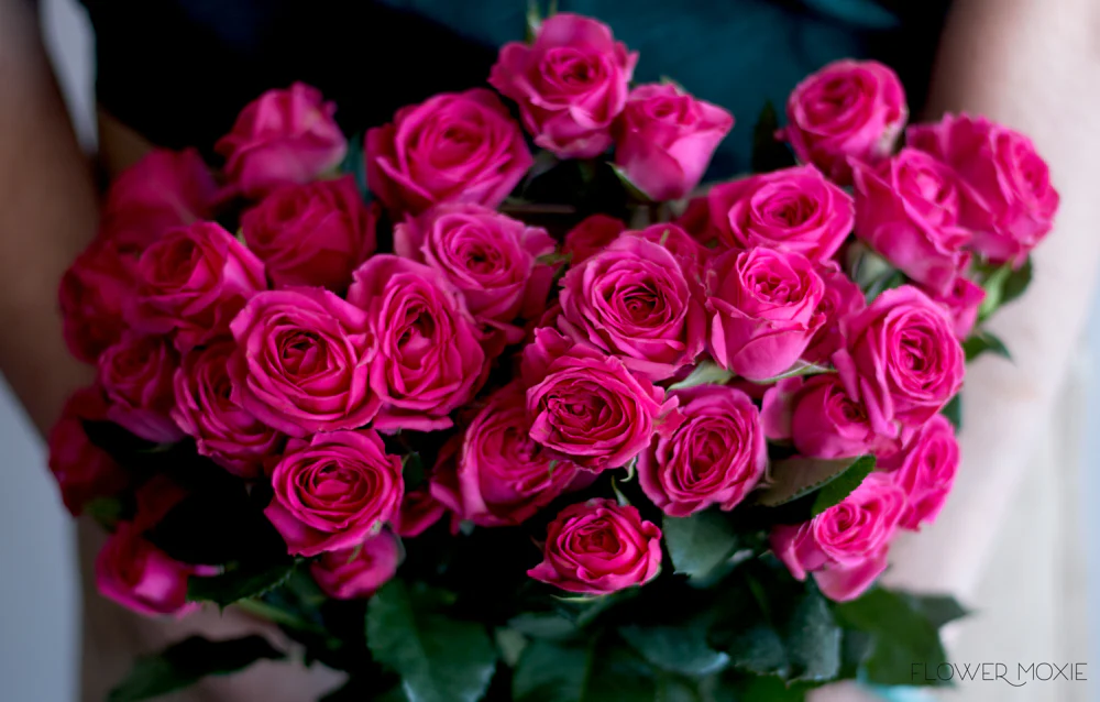 Deep Pink Spray Roses - Image 4