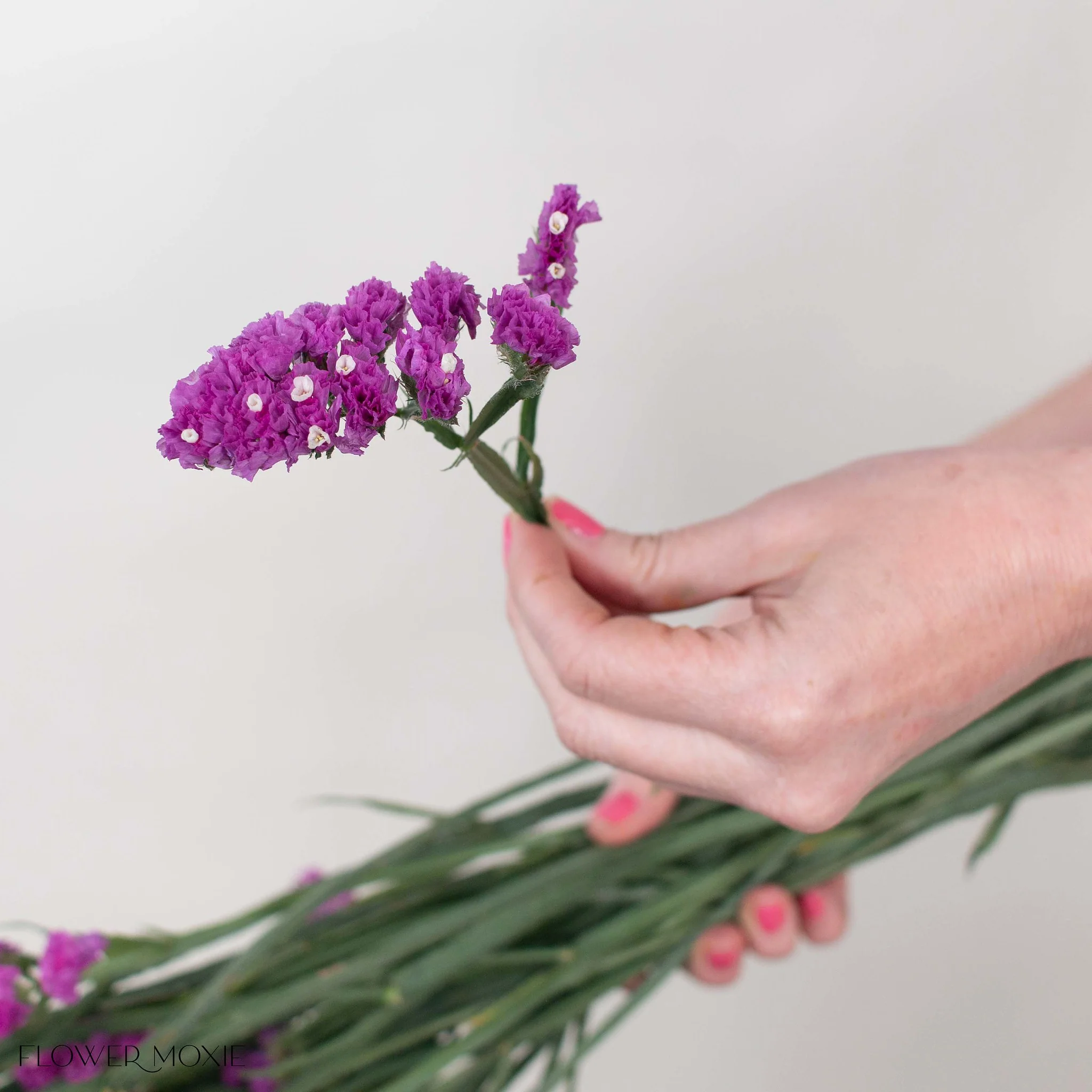 Deep Pink Statice Flower - Image 3
