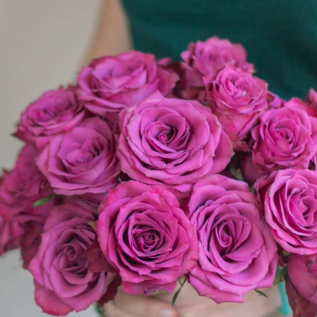 Deep Purple Blueberry Rose - Image 3