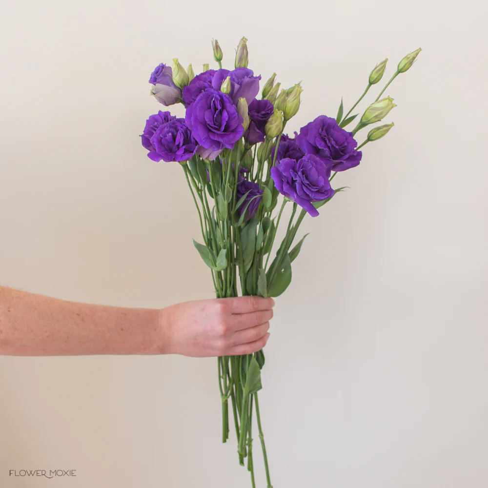 Deep Purple Lisianthus Flower - Image 10