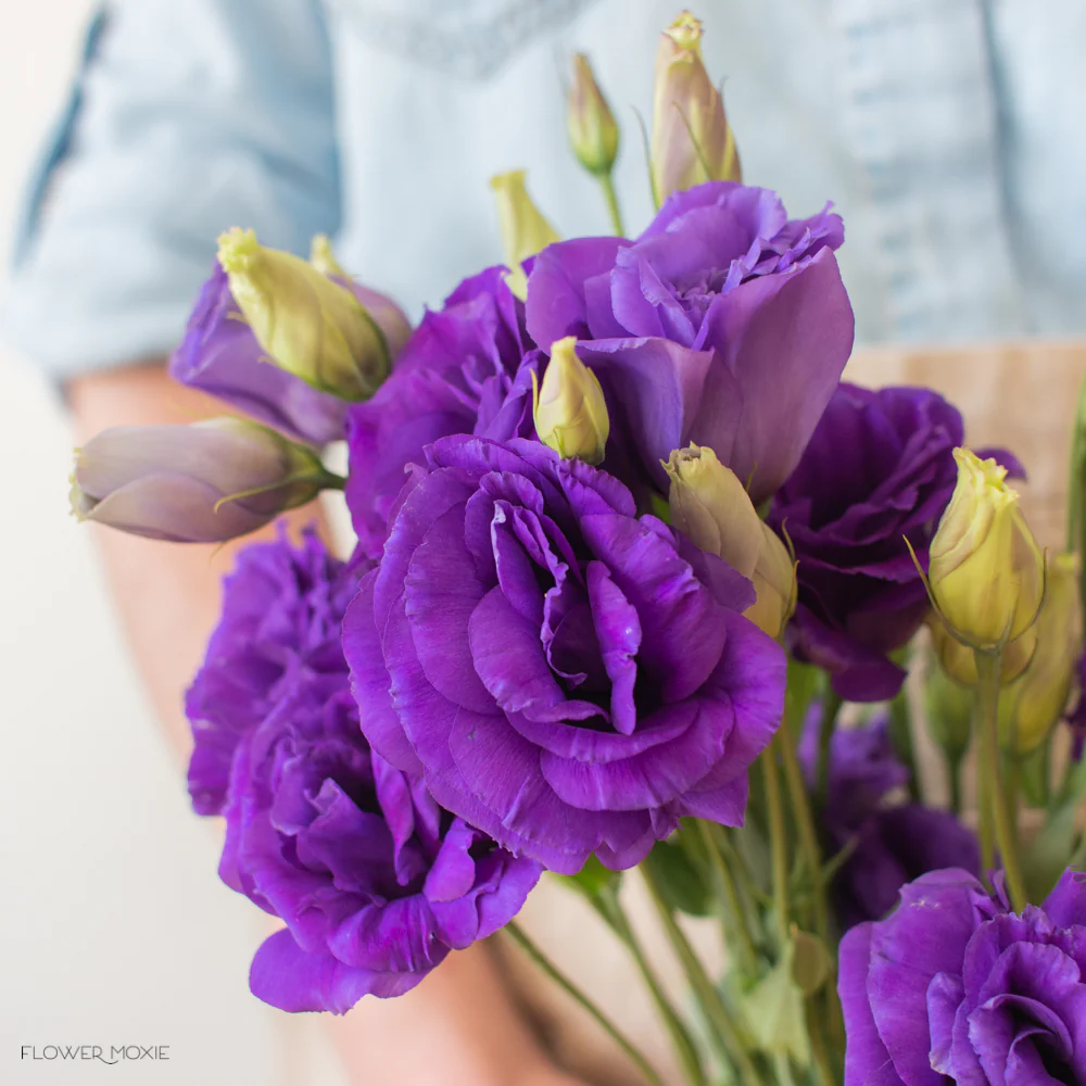 Deep Purple Lisianthus Flower - Image 12