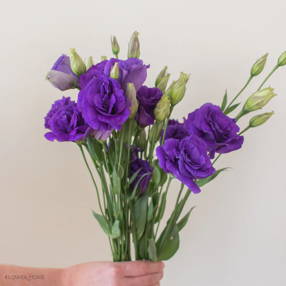 Deep Purple Lisianthus Flower - Image 5