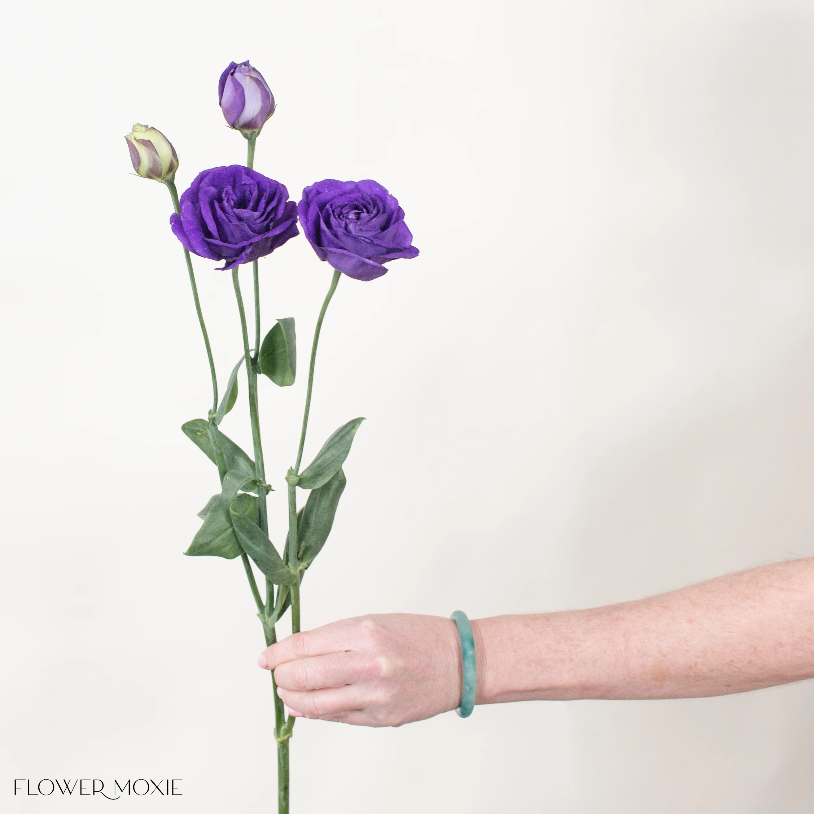 Deep Purple Lisianthus Flower - Image 7