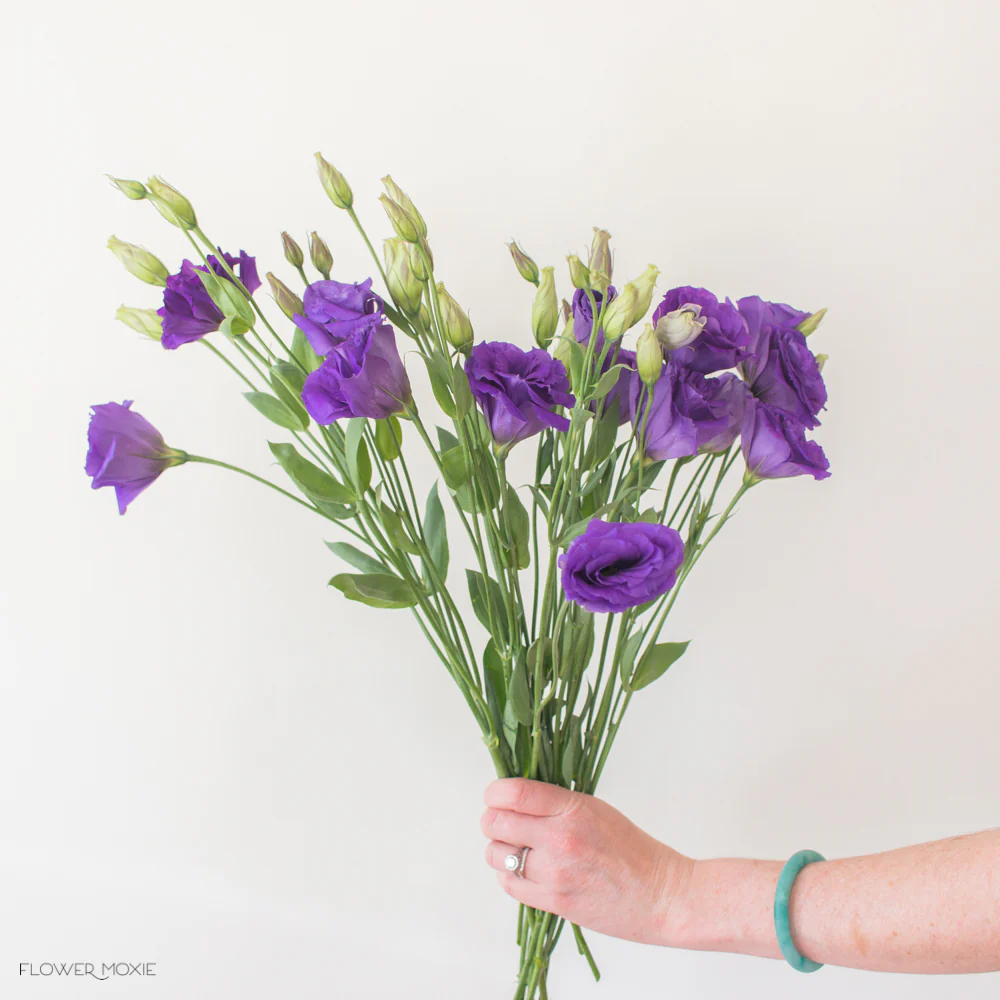 Deep Purple Lisianthus Flower - Image 9
