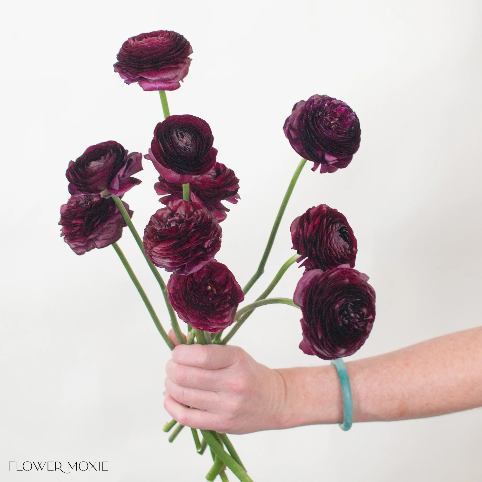 Deep Violet Ranunculus Flower - Image 6