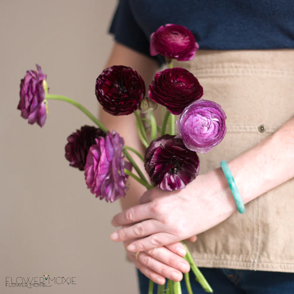 Deep Violet Ranunculus Flower - Image 7