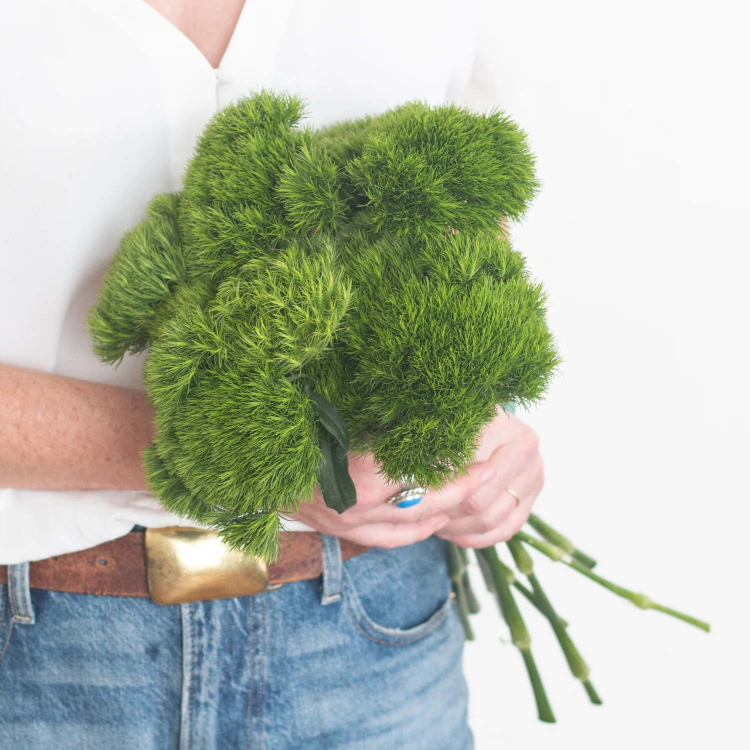 Green Dianthus Flower