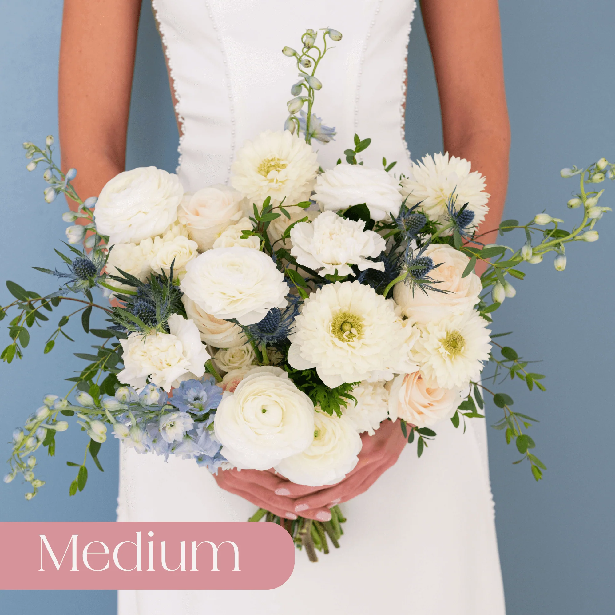 Dusty Blue and Cream Premade Plus - Medium
