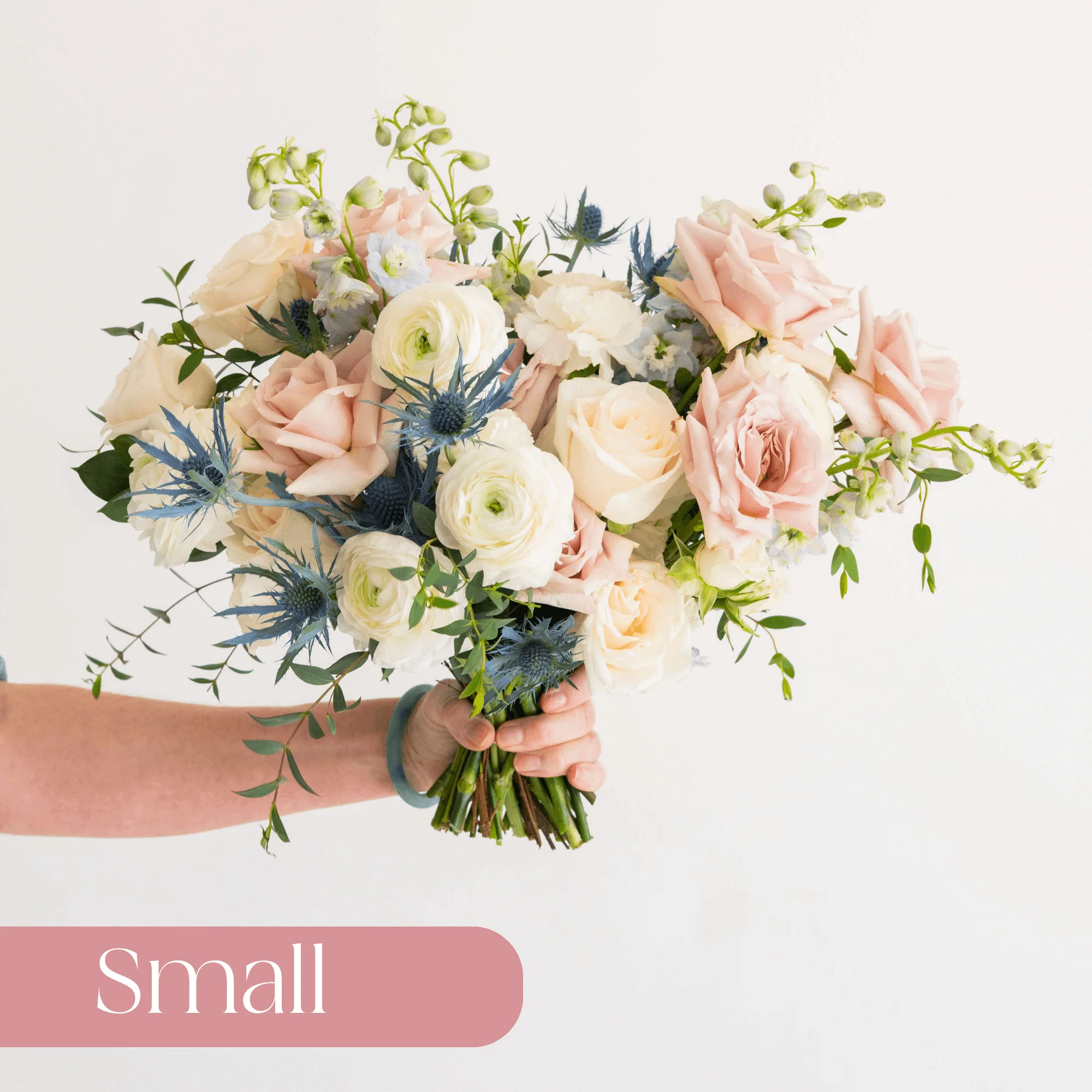 Dusty Blush and Blue Premade Plus - Small