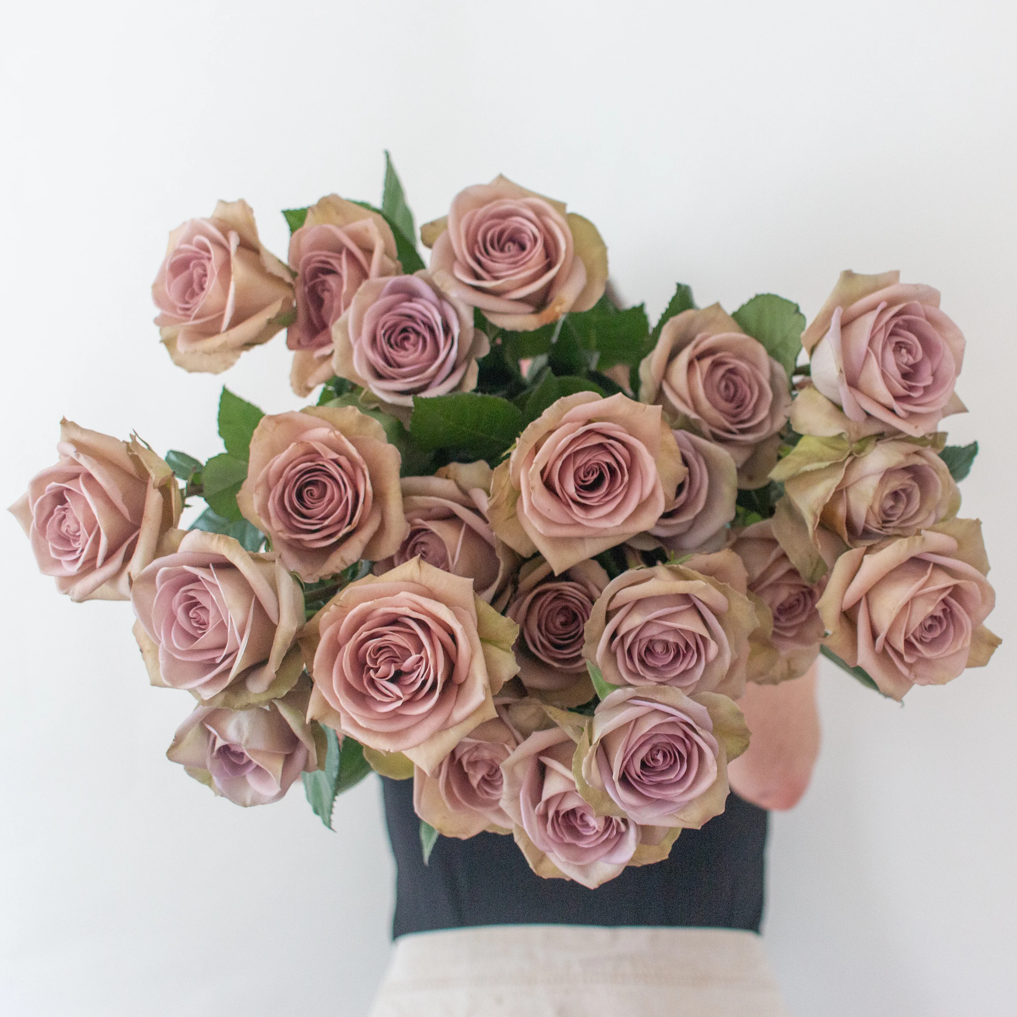 Dusty Lavender Amnesia Rose - Image 3