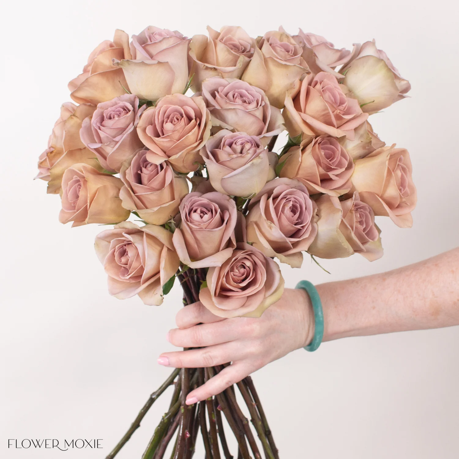 Dusty Lavender Amnesia Rose - Image 5