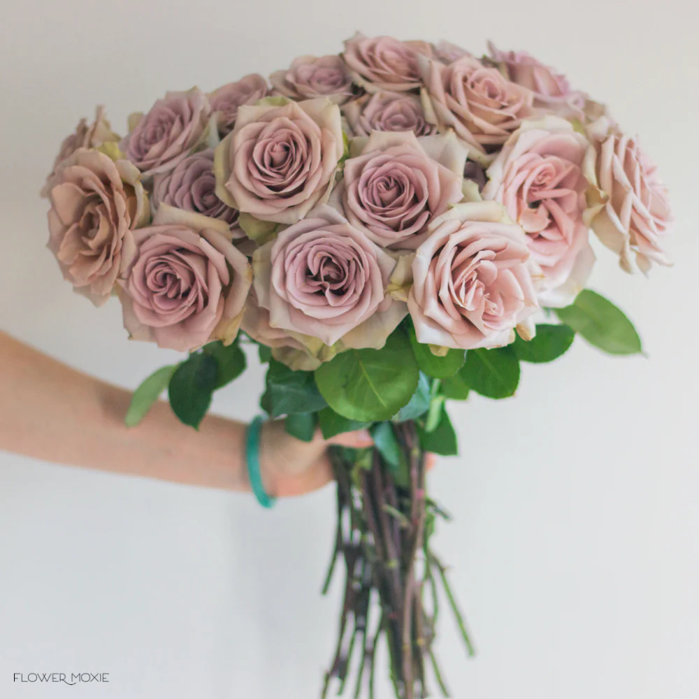 Dusty Lavender Amnesia Rose - Image 7