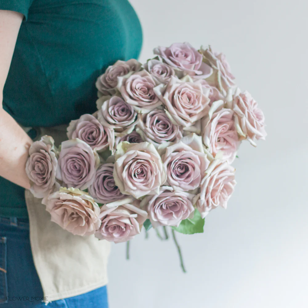 Dusty Lavender Amnesia Rose - Image 8