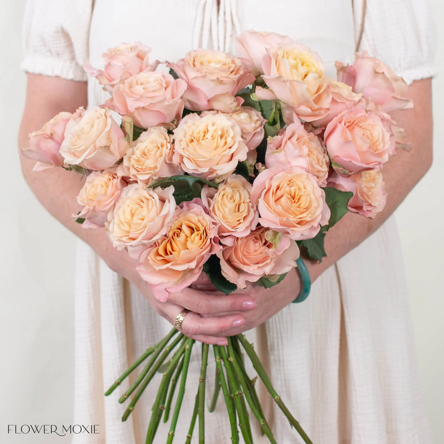 Sandy Beige Sahara Senstation Garden Rose - Image 2