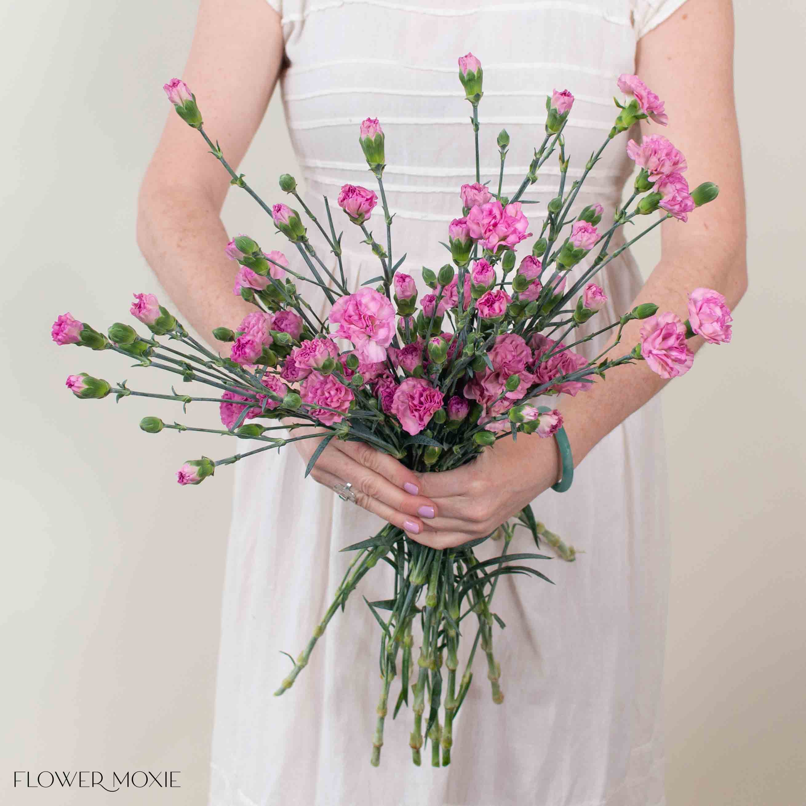 Dusty Pink Mini Carnation Flower