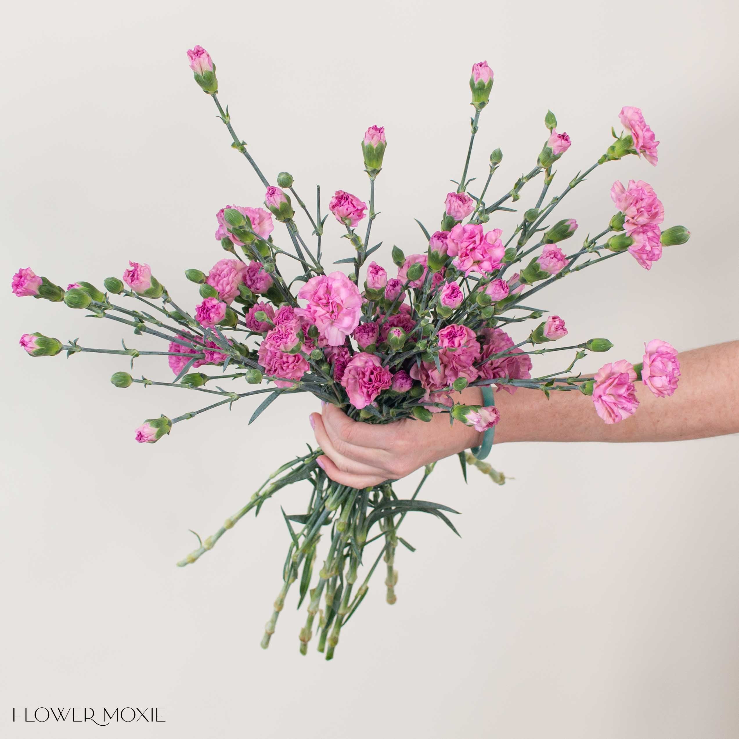 Dusty Pink Mini Carnation Flower - Image 2