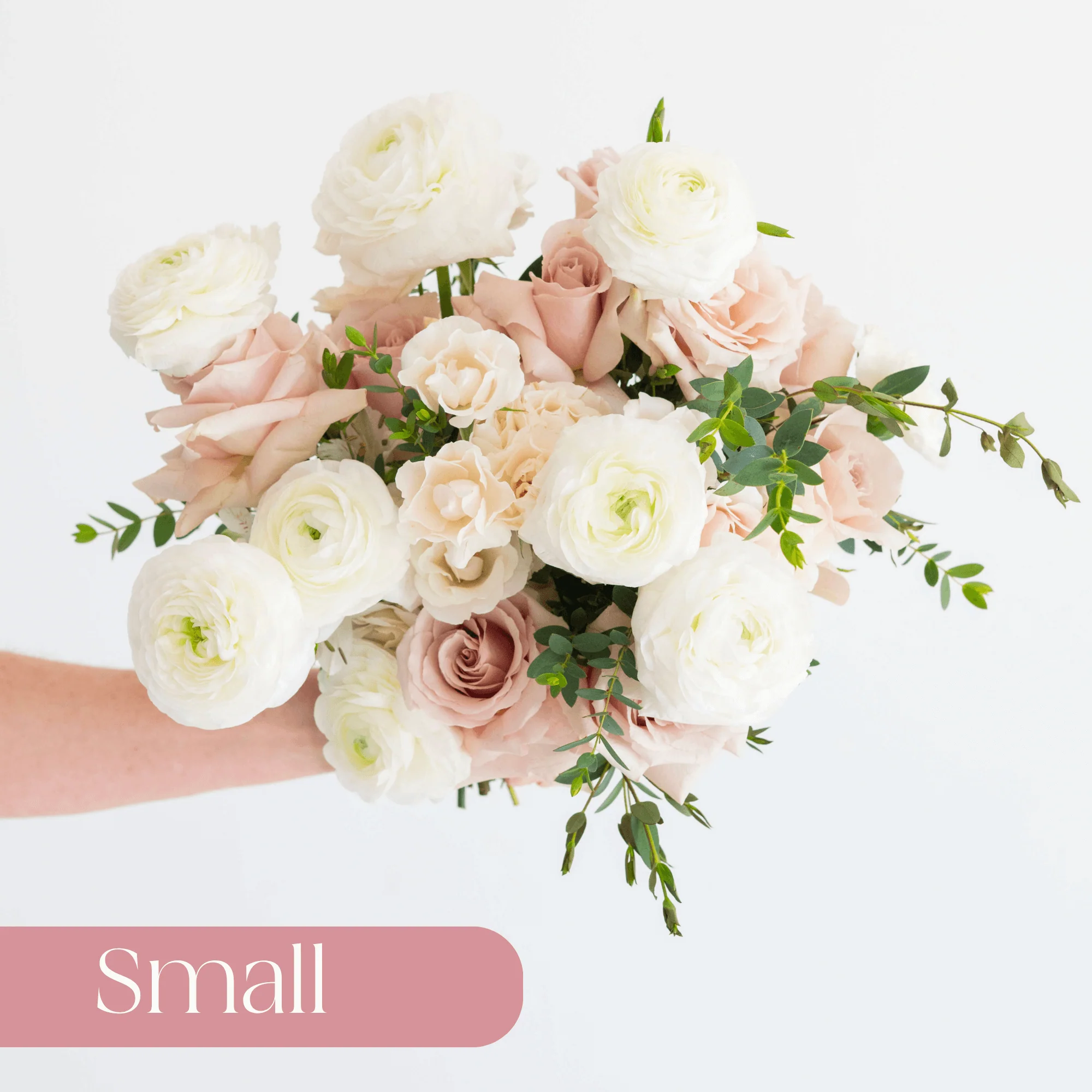 Dusty Rose and Cream Premade Plus - Small