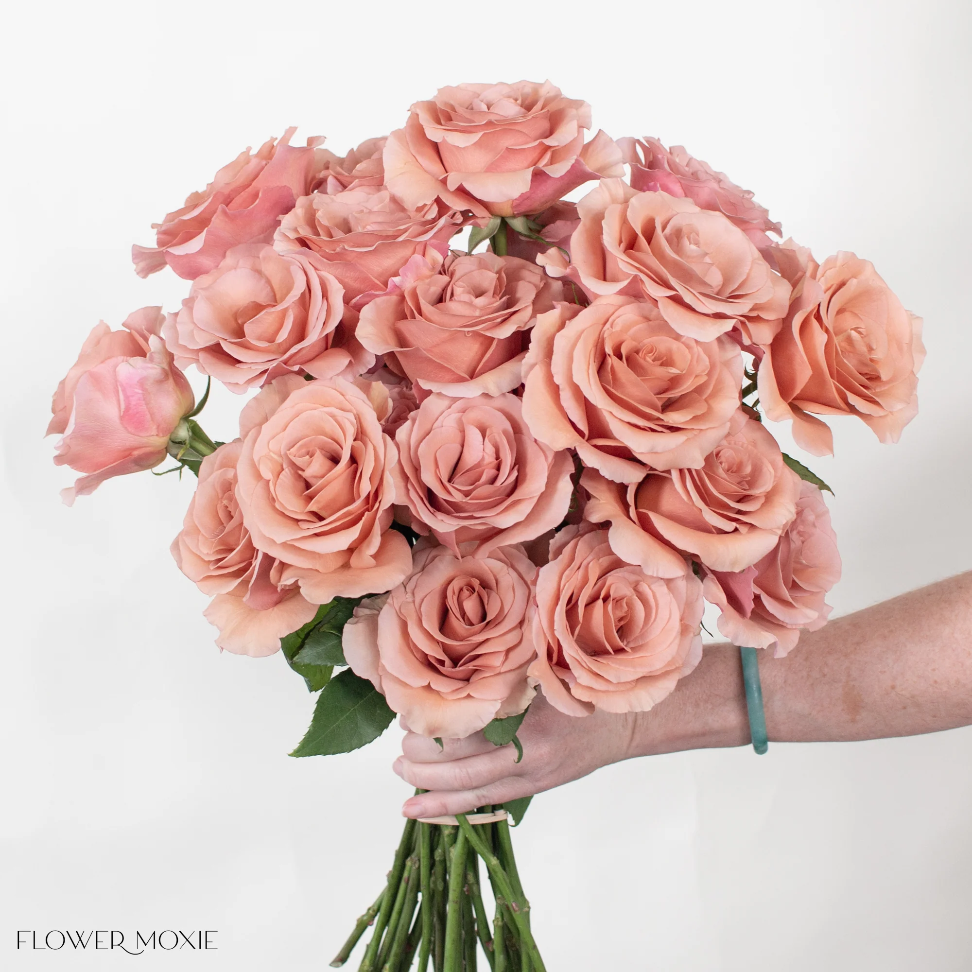 Mauve Terracotta Moab Rose - Image 3