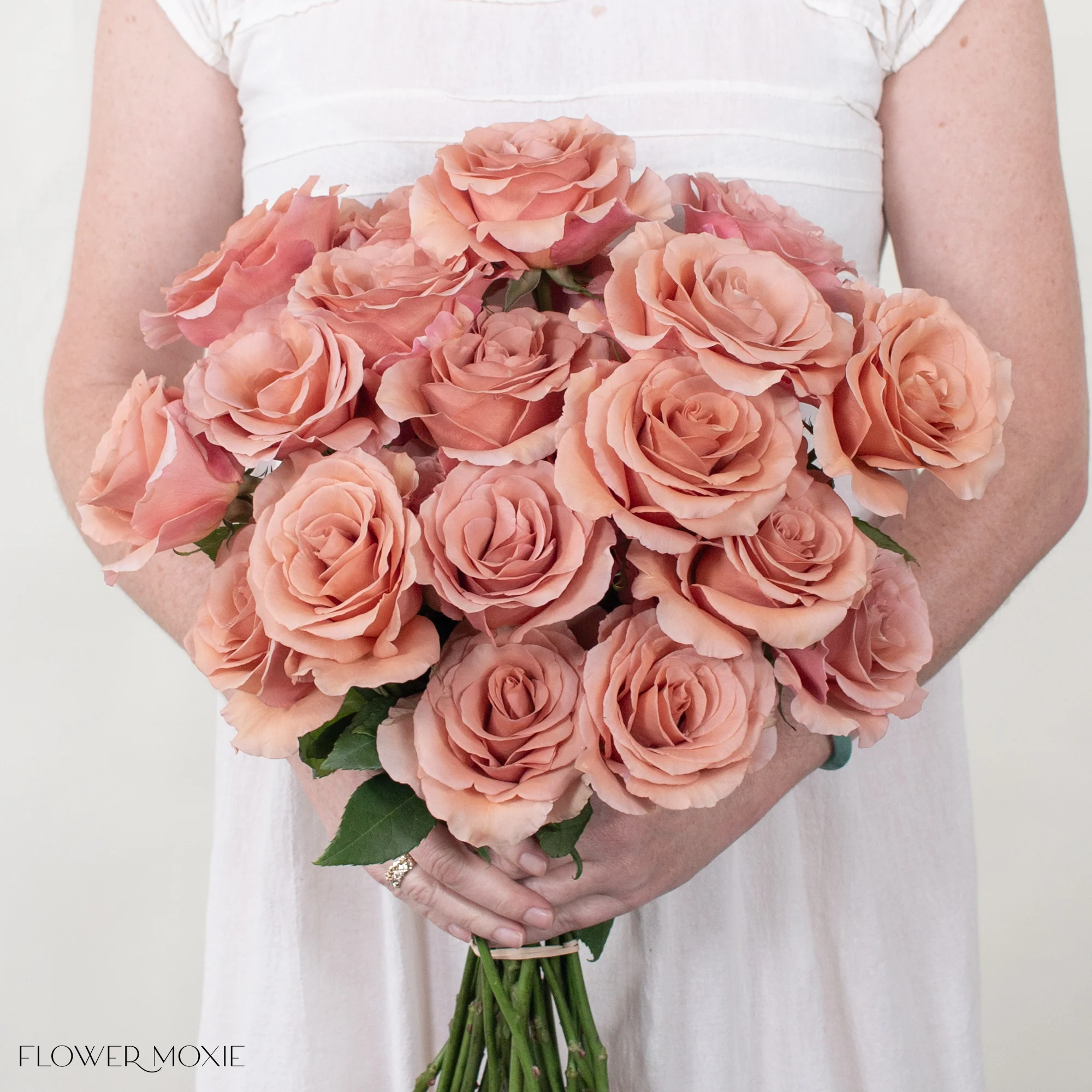 Mauve Terracotta Moab Rose - Image 6