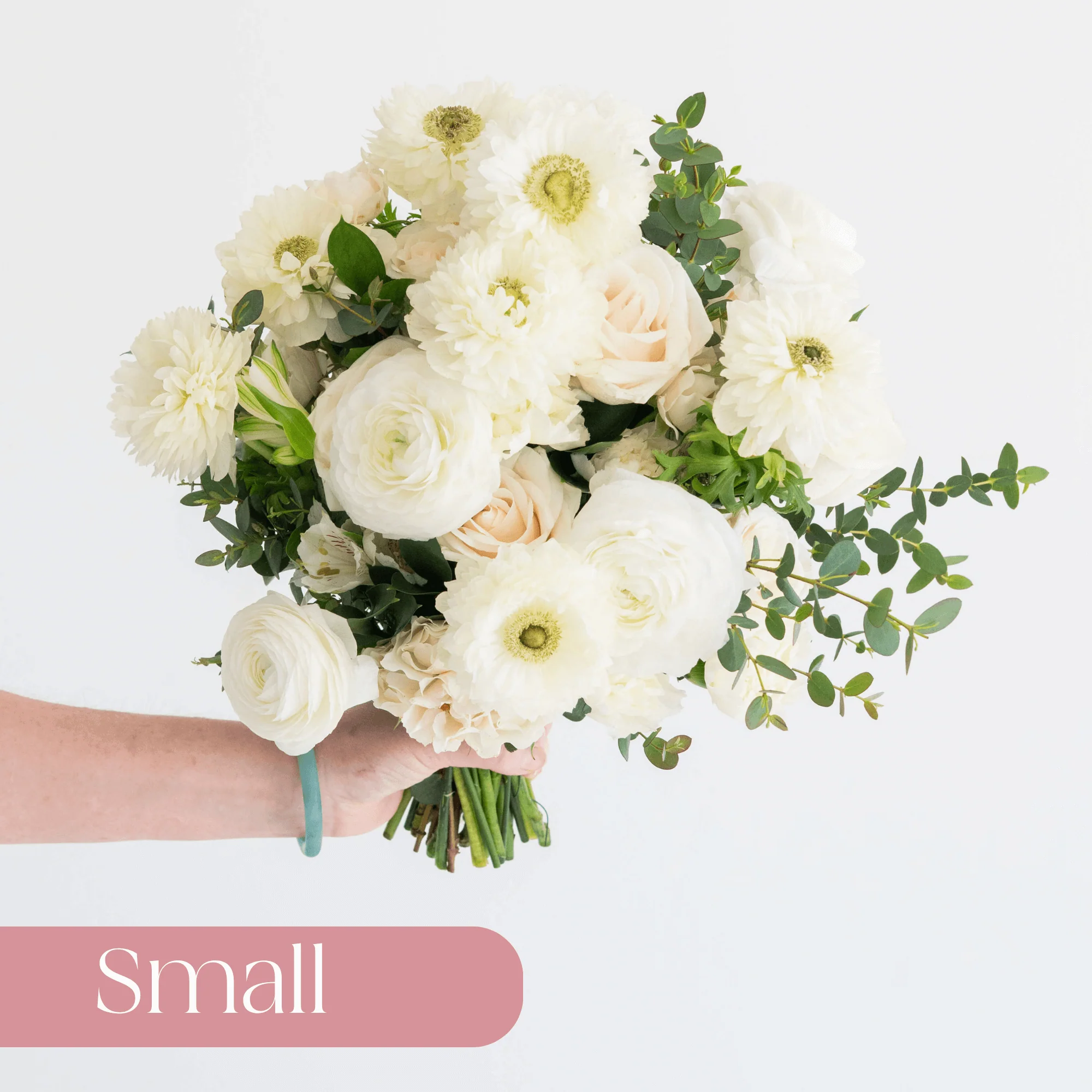 Emerald and Cream Premade Plus - Small